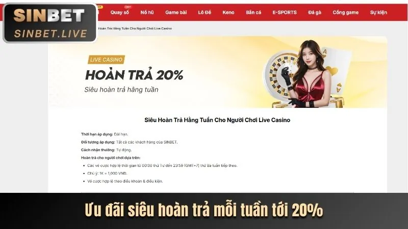 Điều kiện và quy tắc hoàn trả hàng ngày tha thien ha bet